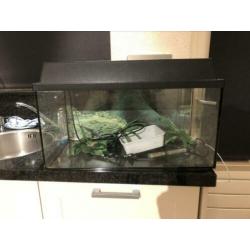 Aquarium + toebehoren