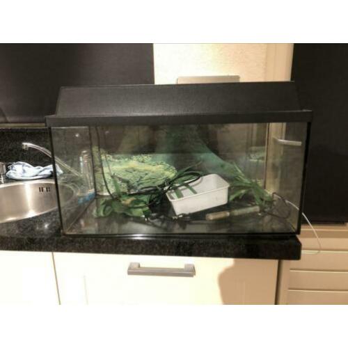 Aquarium + toebehoren