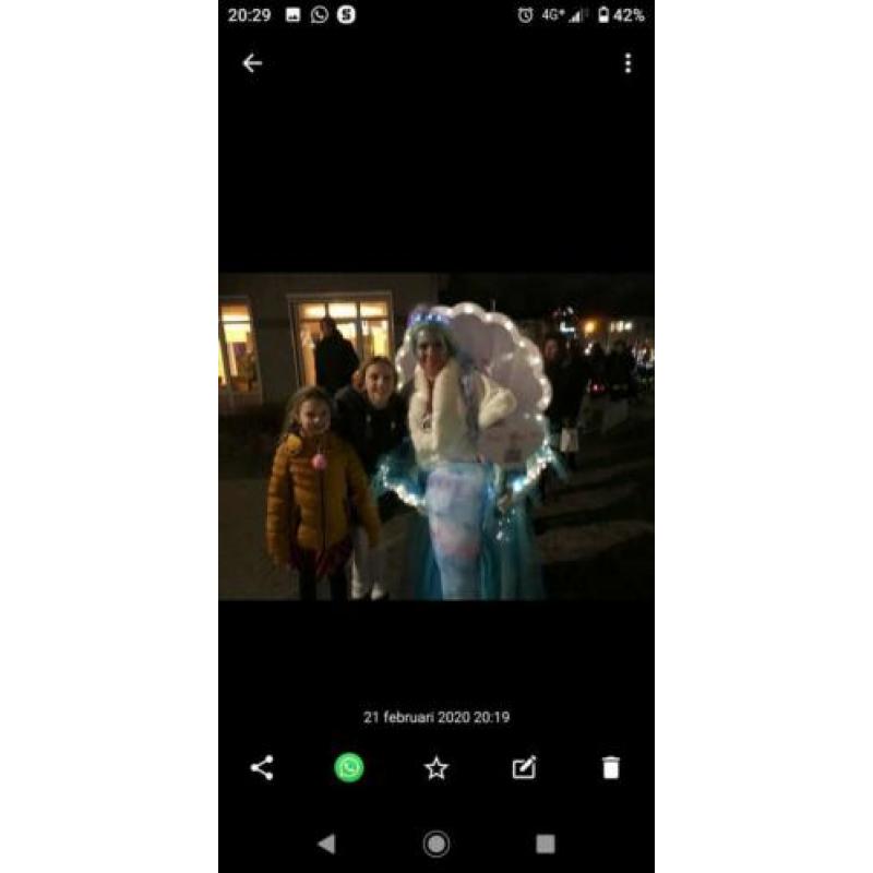Carnavals groep 6 stuks zeemeerminnen