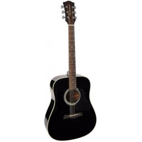 Akoestische gitaar dreadnought D-40-BK | Richwood