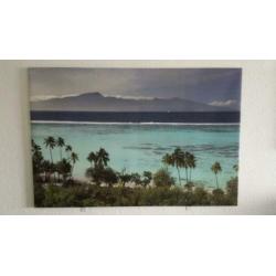 Badhanddoeken wit 50x100cm