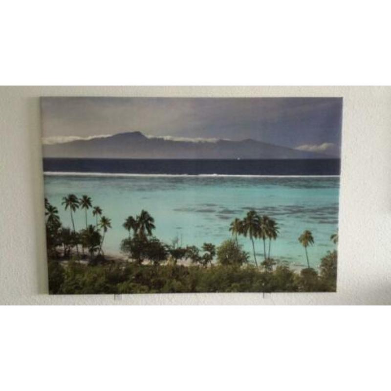 Badhanddoeken wit 50x100cm