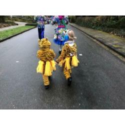 Carnavalspakjes kinderen tijgers en leeuwen