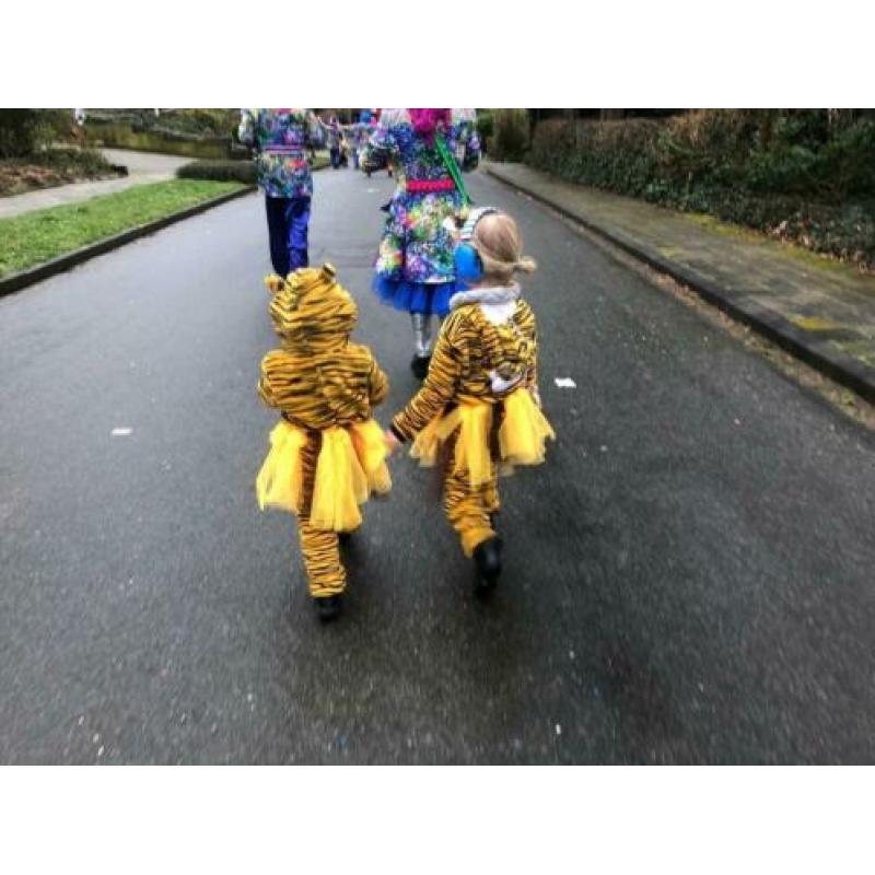 Carnavalspakjes kinderen tijgers en leeuwen