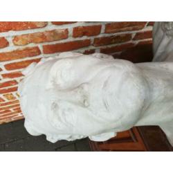 Oude gipsen buste