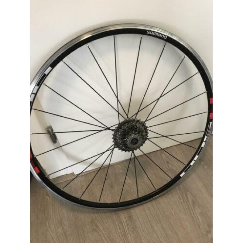 Tacx Bushido Smart trainer
