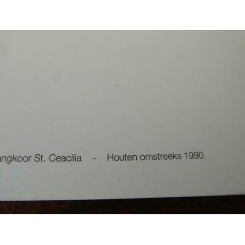 B40 - Houten - Speciale kaart