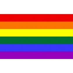 Coming out day de regenboog vlag in top