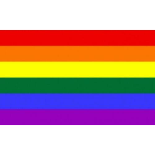 Coming out day de regenboog vlag in top