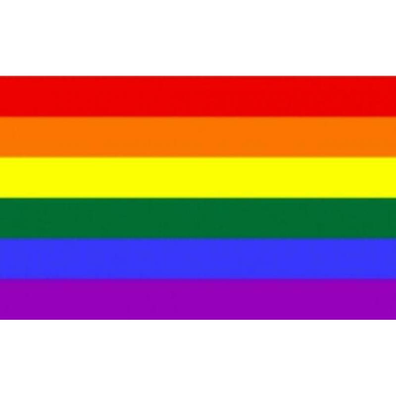 Coming out day de regenboog vlag in top