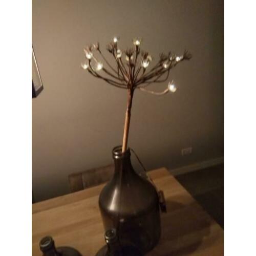 Bereklauw met verlichting