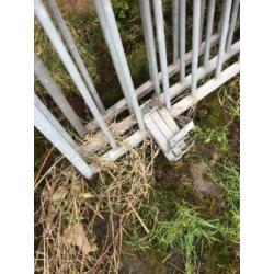 Hondenkennel Royaal