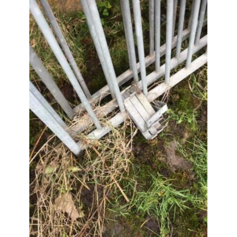 Hondenkennel Royaal