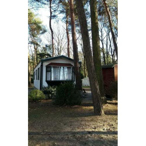 Ruim Chalet houten stacaravan boscamping Montfort Limburg
