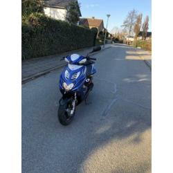 Yamaha earox 2013