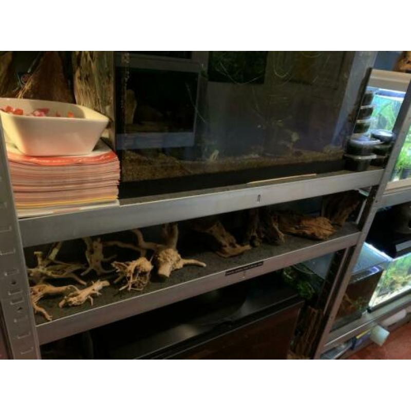 Aquarium hout, stenen en decoratie.