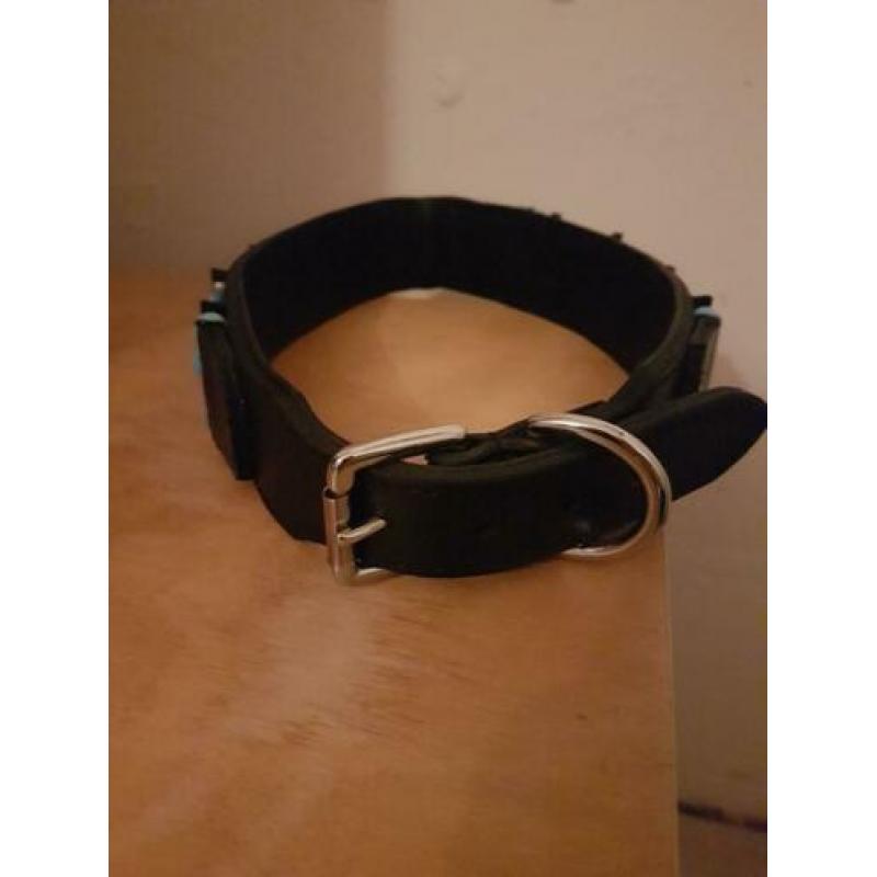 Honden halsband