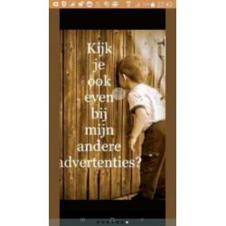 Hollands talige muziek/concerten dvd grote titels