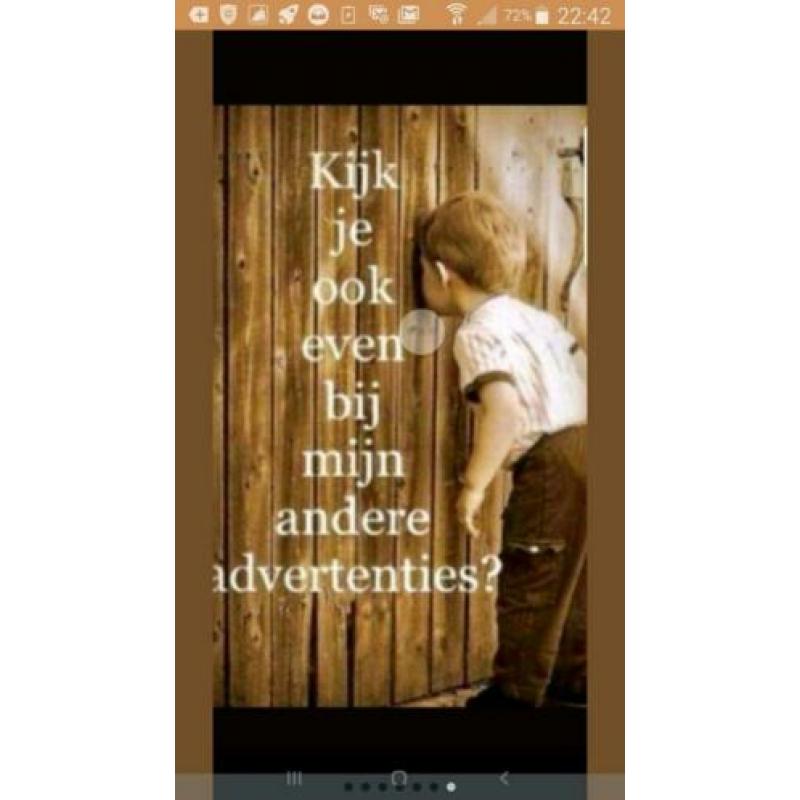 Hollands talige muziek/concerten dvd grote titels