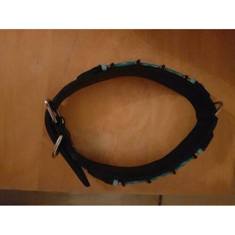 Honden halsband