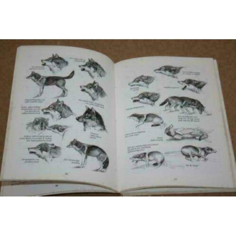 Handboek Schotse Herdershonden Ver. De Collieclub 1965-1995!