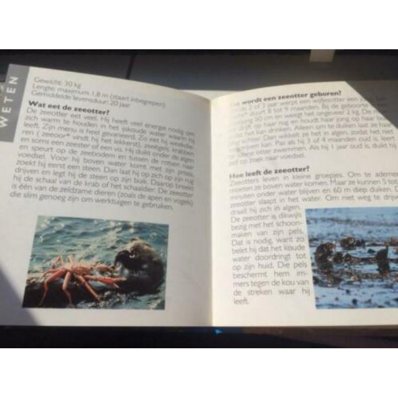 De otter