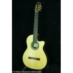 Cashimira 130C Palosanto Thinline Cutaway Gitaar