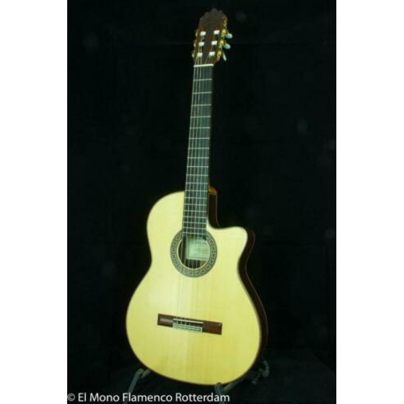 Cashimira 130C Palosanto Thinline Cutaway Gitaar