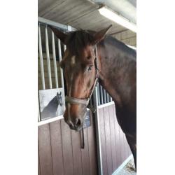 Brave 19 jarige recreatie NRPS ruin