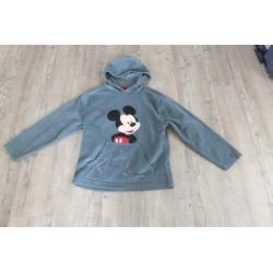 disneyland trui, in nieuwstaat maat l groen/grijs