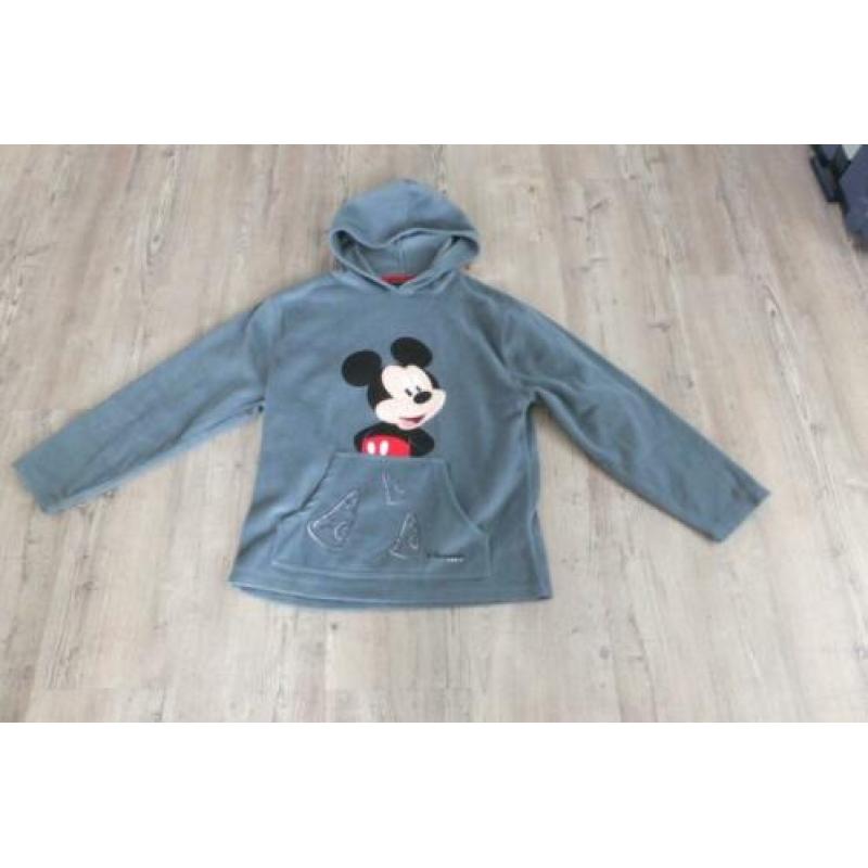 disneyland trui, in nieuwstaat maat l groen/grijs