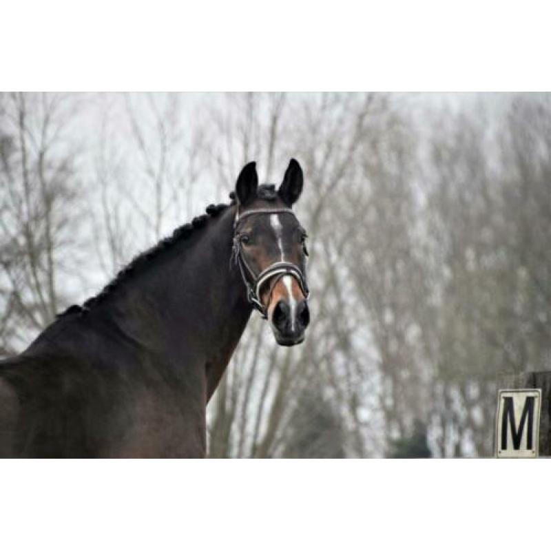 Brave 19 jarige recreatie NRPS ruin