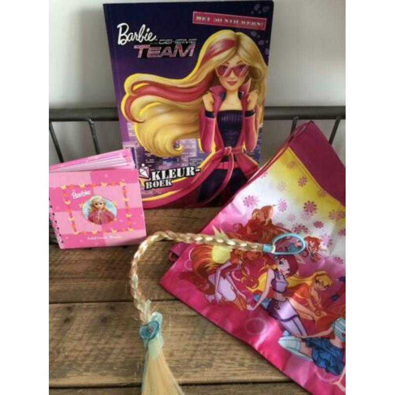 Diverse Barbie, Winkx , haaraccessoire van Frozen