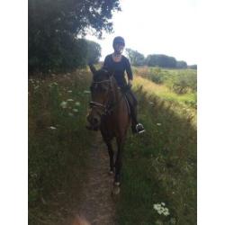 Brave 19 jarige recreatie NRPS ruin