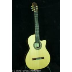 Cashimira 130C Palosanto Thinline Cutaway Gitaar