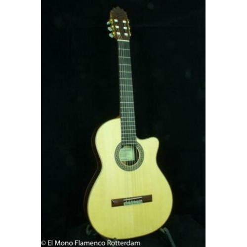 Cashimira 130C Palosanto Thinline Cutaway Gitaar