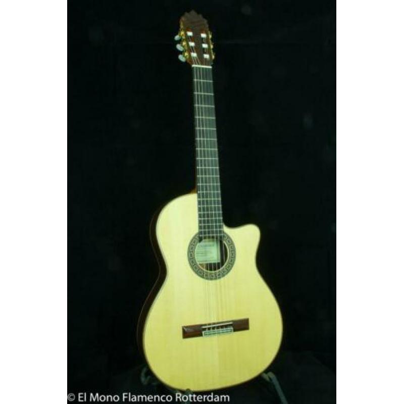 Cashimira 130C Palosanto Thinline Cutaway Gitaar