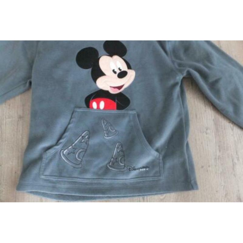 disneyland trui, in nieuwstaat maat l groen/grijs