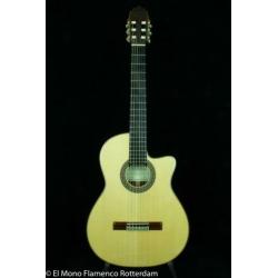 Cashimira 130C Palosanto Thinline Cutaway Gitaar