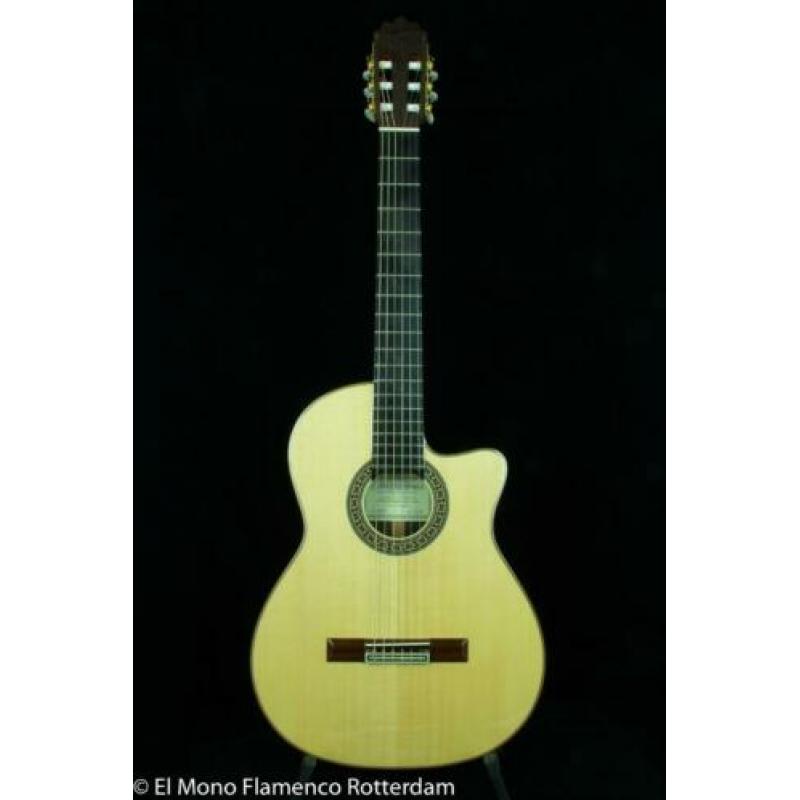 Cashimira 130C Palosanto Thinline Cutaway Gitaar