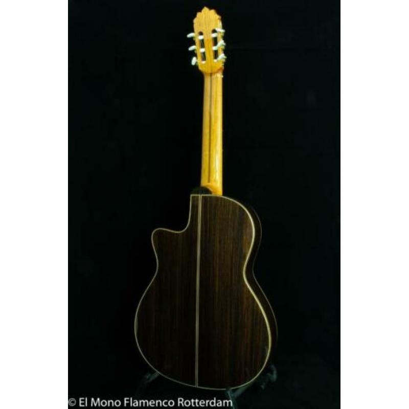 Cashimira 130C Palosanto Thinline Cutaway Gitaar