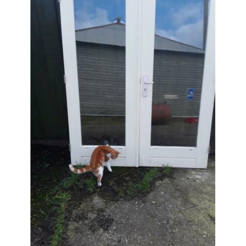 Openslaande tuindeuren 210cm hg 172 cm br hardhout dubbel gl