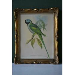 Botanische schilderij / litho #2 bij "Blossom Brocante"