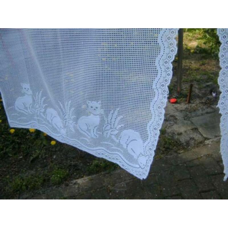 poes poezen vitrage glas gordijnen wit
