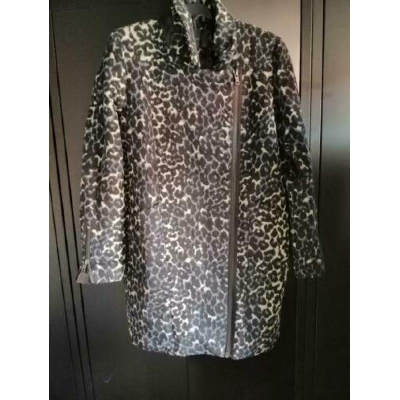 Minimum maat 40 jas luipaard