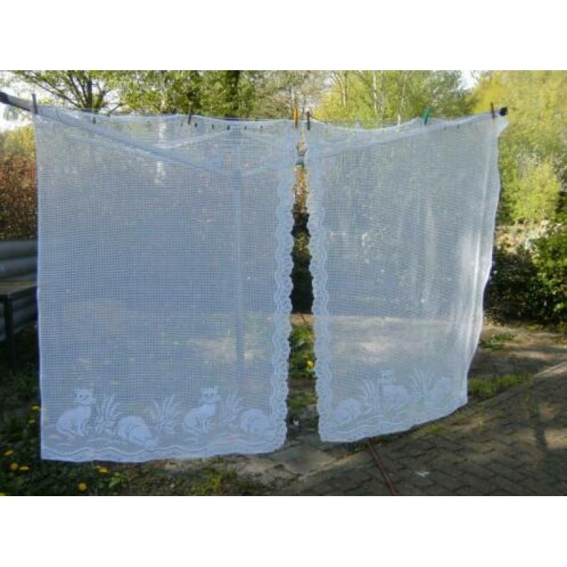 poes poezen vitrage glas gordijnen wit