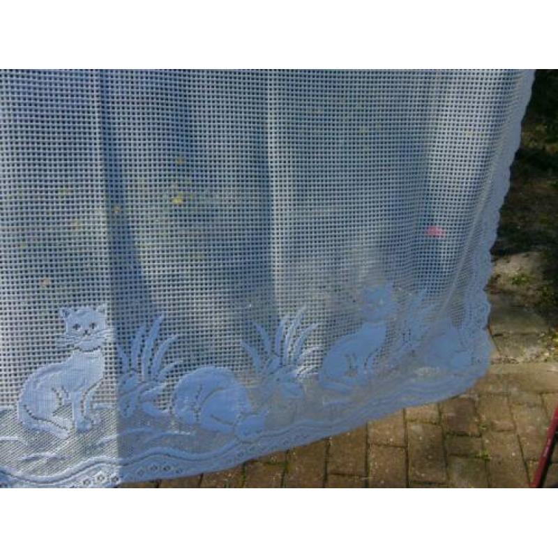 poes poezen vitrage glas gordijnen wit