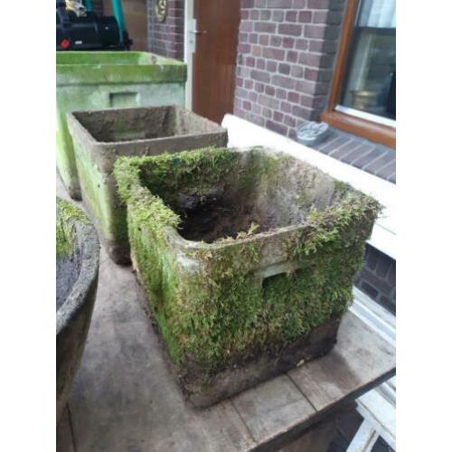 Set 1950's Willy guhl planter vierkant pot bloembak eternit