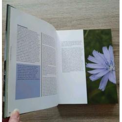 Het Grote Wildplukboek, Eten uit de Natuur - Edwin Flores