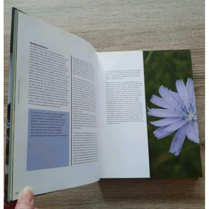 Het Grote Wildplukboek, Eten uit de Natuur - Edwin Flores